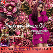 (image for) Raspberry Steam CU