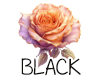 (image for) :: Black