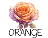 (image for) :: Orange | Rust