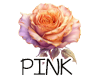 (image for) :: Pink|Rosegold
