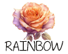 (image for) :: Multi Color|Rainbow|Gradient