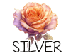 (image for) :: Silver|White