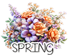 (image for) =.= Scrapkits-Spring